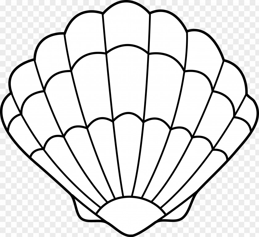 Ariel Outline Cliparts Clam Seashell Drawing Clip Art PNG