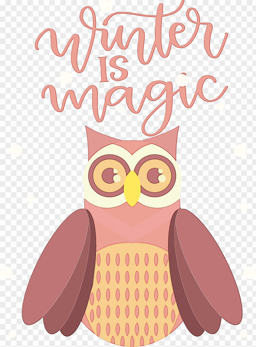 Birds Beak Cartoon Bird Of Prey Owl M PNG