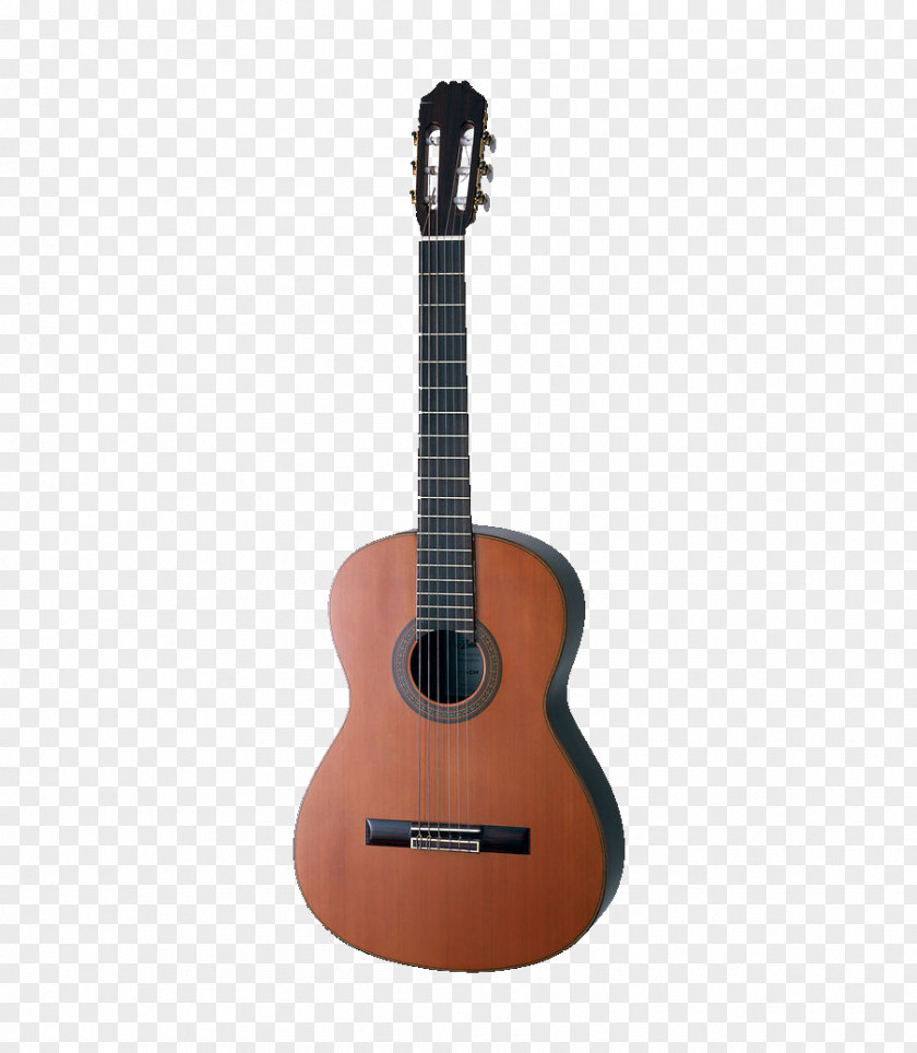 Brown Guitar Musical Instrument Classical Acoustic PNG