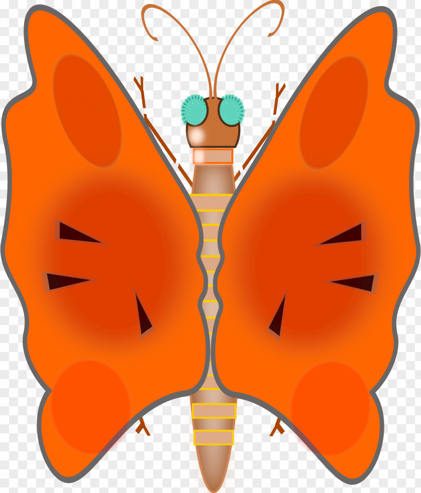 Butterfly Drawing Clip Art PNG