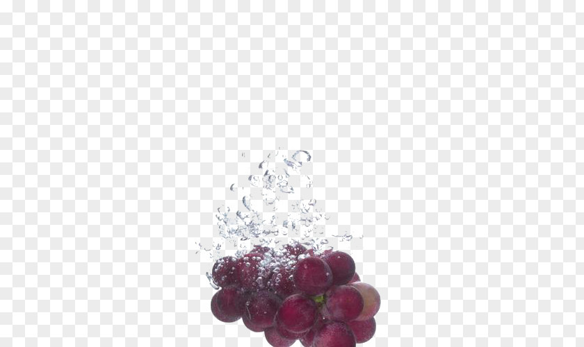 Clean Grapes Red Wine Merlot Champagne Cabernet Sauvignon PNG