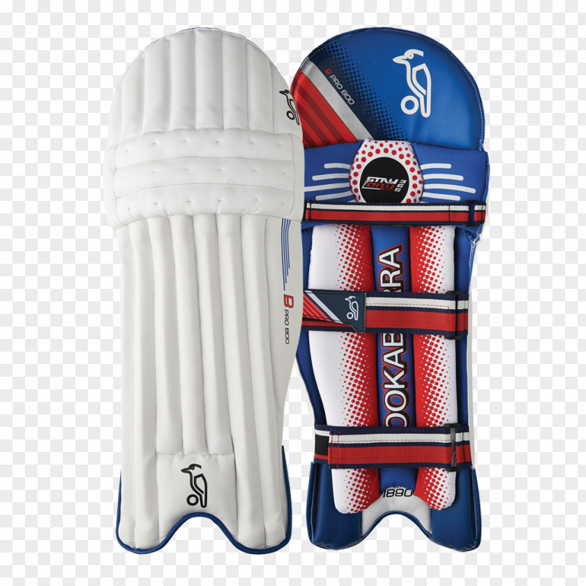 Cricket Bats Protective Gear In Sports Pads Batting PNG