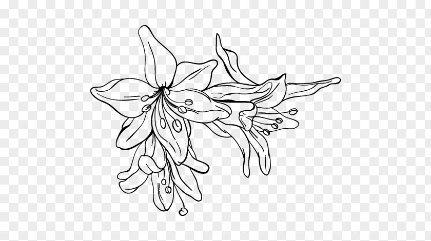 Flower Drawing Coloring Book Paper Children PNG