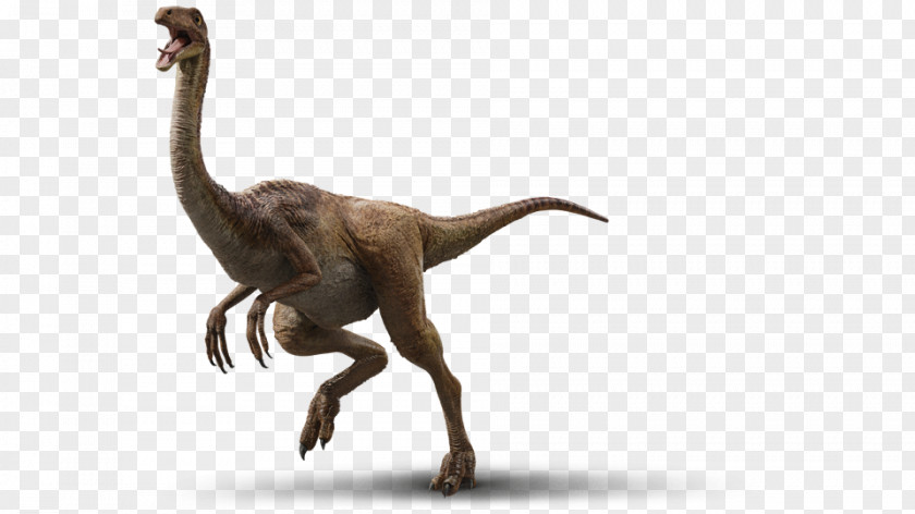 Jurassic World Fallen Kingdom Baryonyx Velociraptor Park Gallimimus Dinosaur Isla Nublar PNG