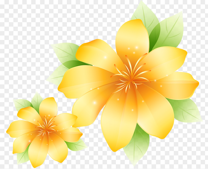 Large Yellow Flower Clipart Art Painting Poster PNG