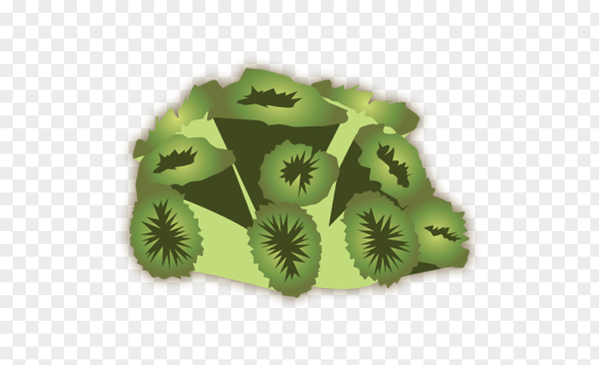 Leaf PNG