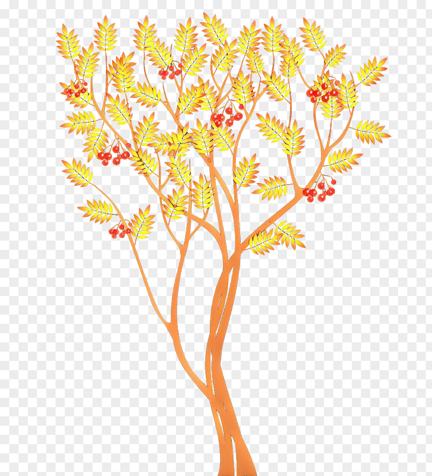 Pedicel Plant Flowers Background PNG