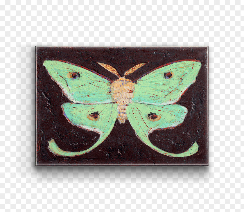 Butterfly Luna Moth Brush-footed Butterflies Metal PNG