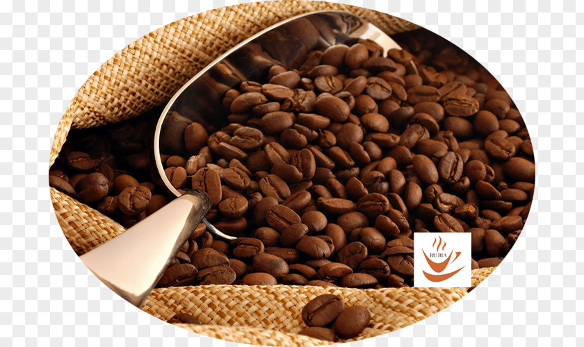Coffee Java Arabica Bean Tea PNG