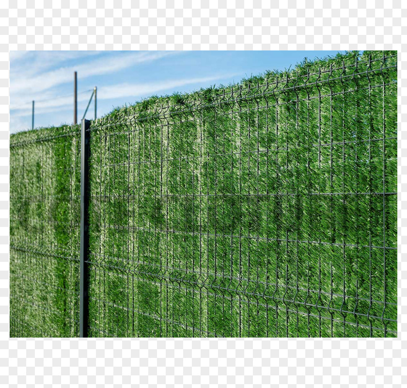 Fence Hedge Chicken Wire Trellis Garden PNG