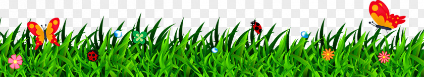 Grass Lawn PNG