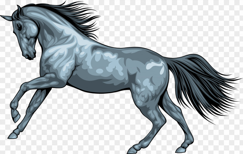 Horse PNG