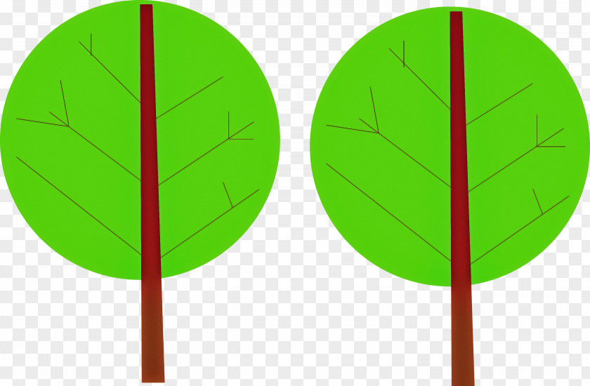 Leaf Green Meter Line Biology PNG