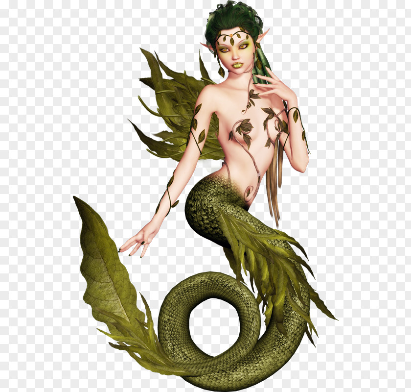 Sirenas Fotos Mermaid Rusalka Legendary Creature Clip Art PNG
