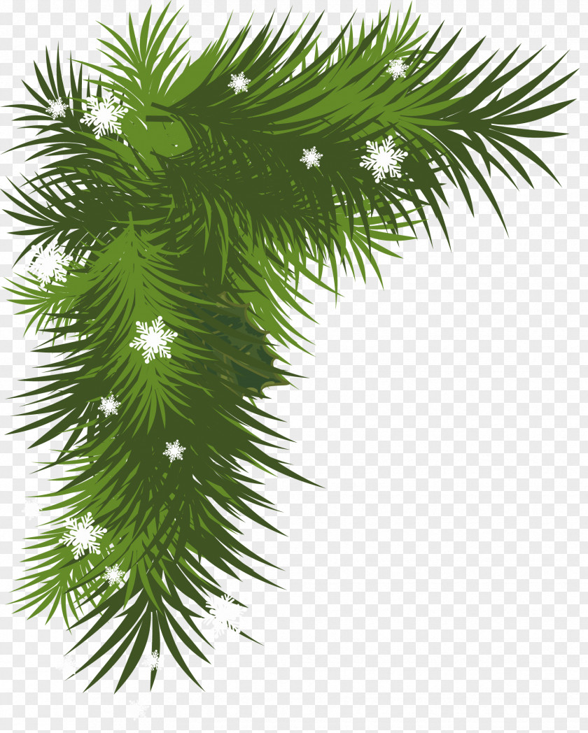Snowy Pine Branch Picture Christmas Decoration Tree Clip Art PNG
