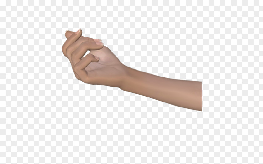 LB Thumb Hand Model Human Anatomy Wrist PNG