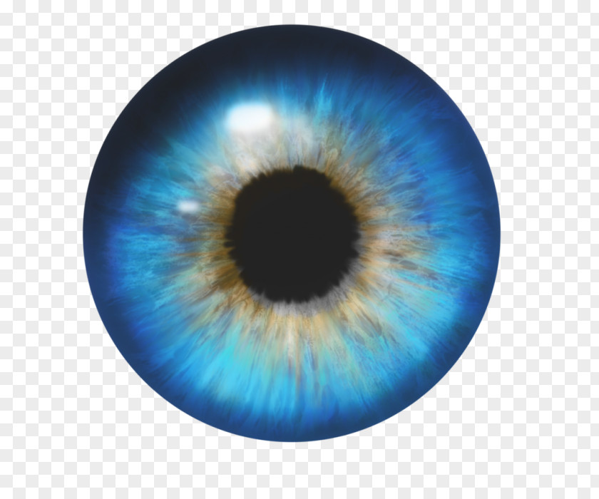 Light Eye Color Iris PNG