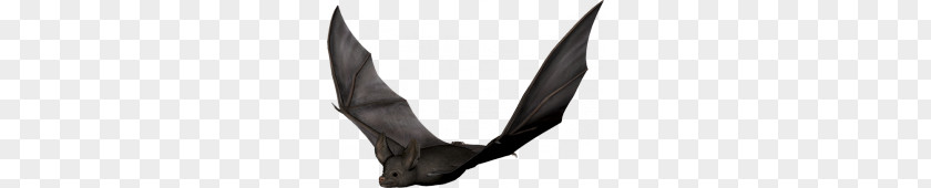 Bat PNG Bat, black bat art illustration clipart PNG