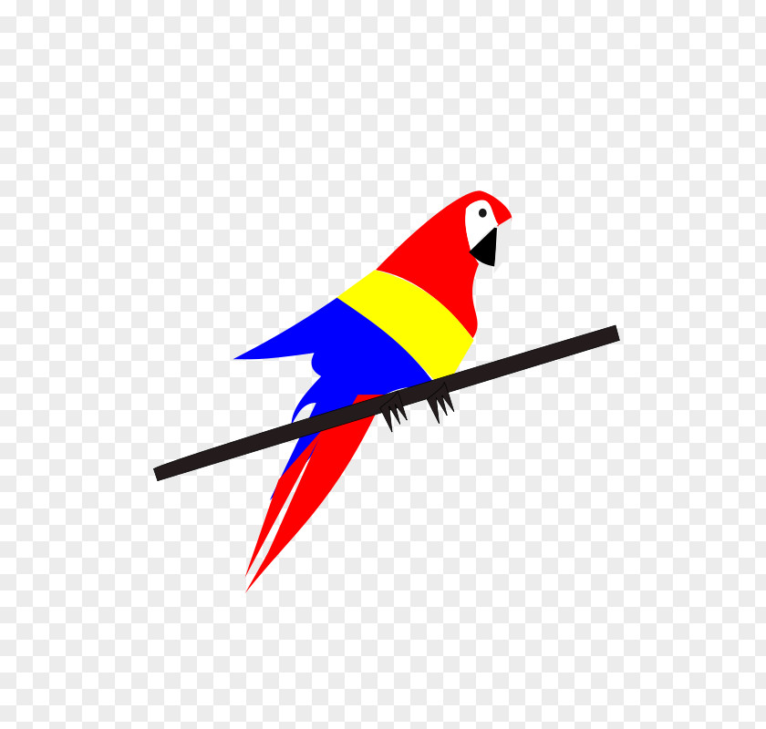 Bird Parrot Clip Art Vector Graphics PNG