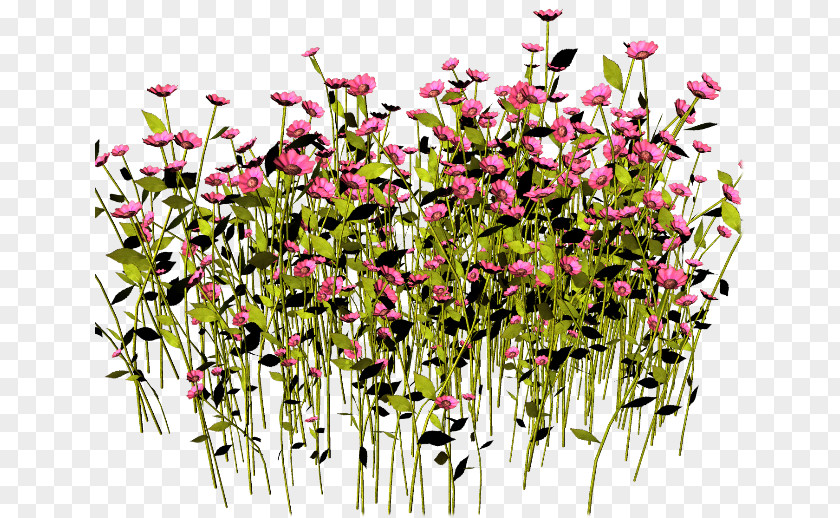 Flower Floral Design GIMP PhotoScape PNG