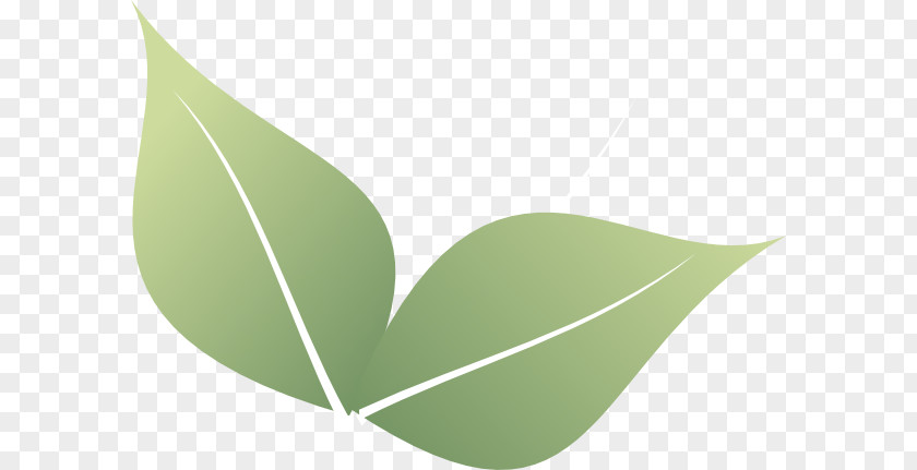 Leaf Corner Clip Art PNG