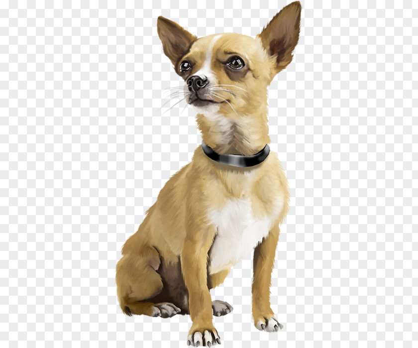 Puppy Chihuahua Dogs Active Miniature Pinscher Bark PNG