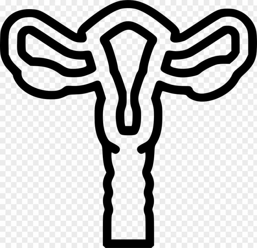 Uterus Icon Gynaecology Reproductive System Ovary Fallopian Tube PNG