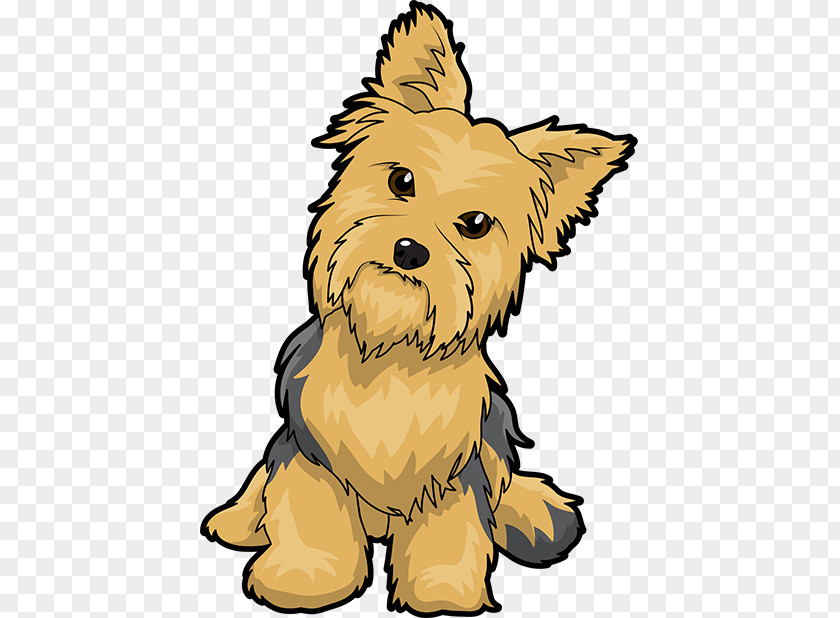 Puppy Yorkshire Terrier Maltese Dog English Toy Clip Art PNG