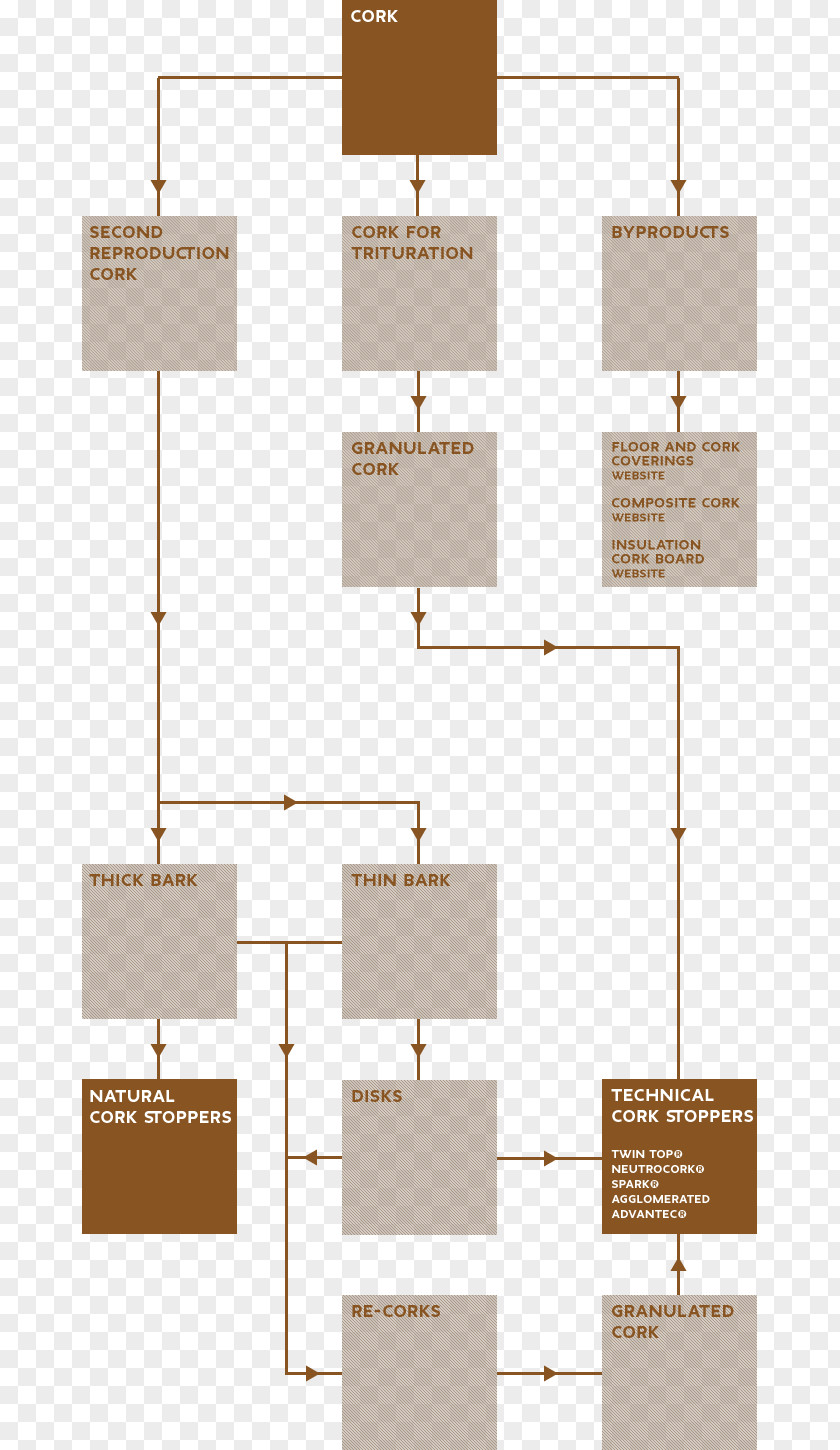 Step Flow Chart Cork Manufacturing Process Raw Material Floor PNG