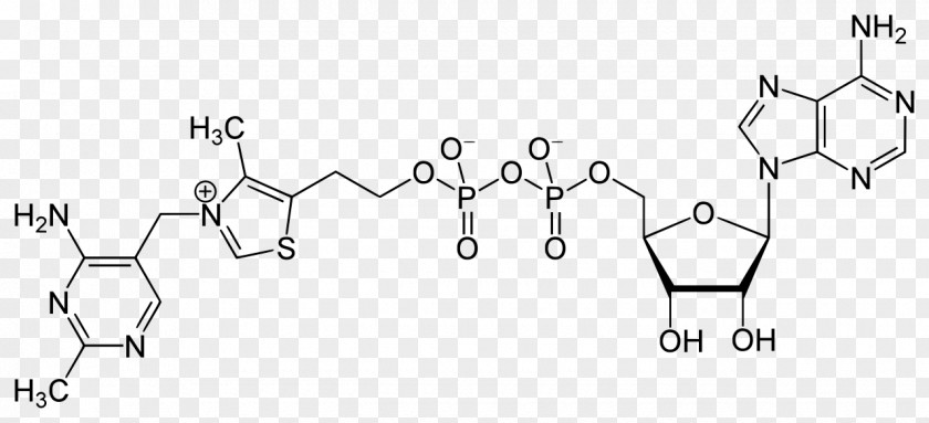 Adenosine Triphosphate Diphosphate S-Adenosyl Methionine Grup Fosfat PNG