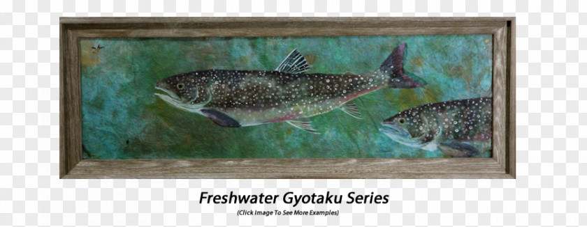 Lake Trout Painting Feather Fauna Ecosystem Picture Frames PNG