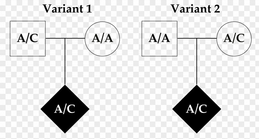 Mendelian Pattern Of Inheritance Triangle White Brand Logo PNG