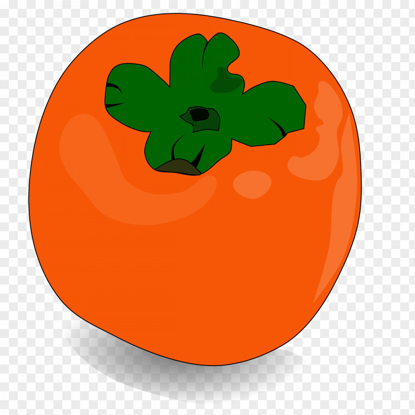 Persimmon Clip Art PNG