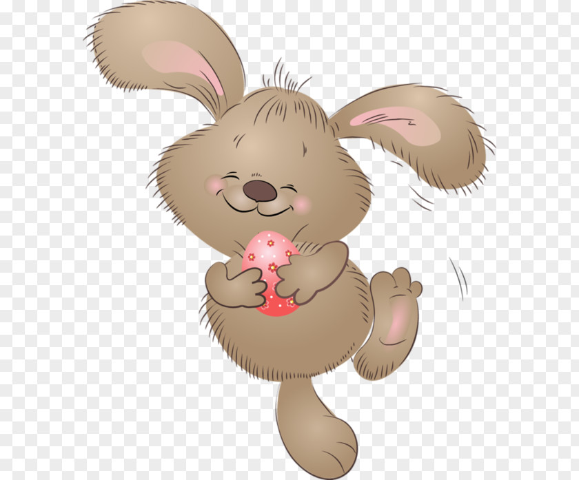 Rabbit Hare Easter Bunny European Domestic PNG