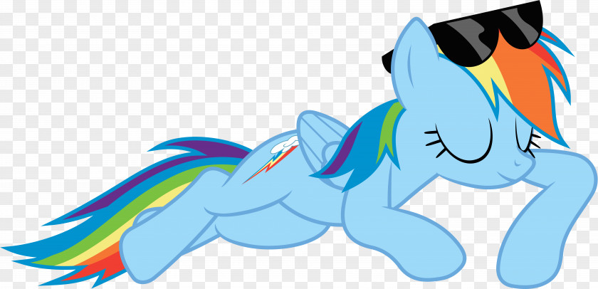 Rainbow Dash My Little Pony Rarity PNG