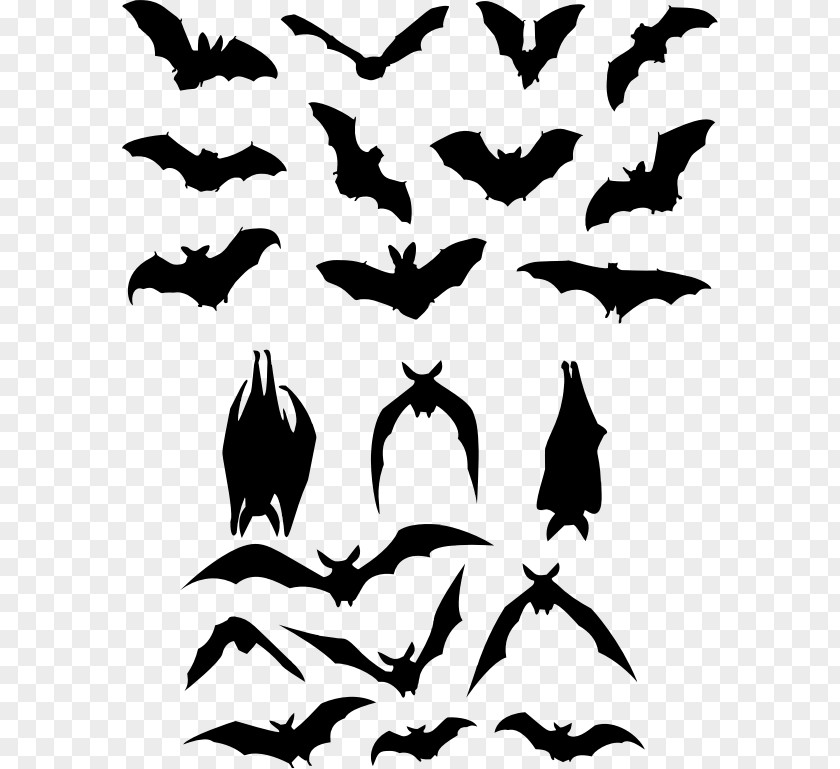 Bat Silhouette PNG