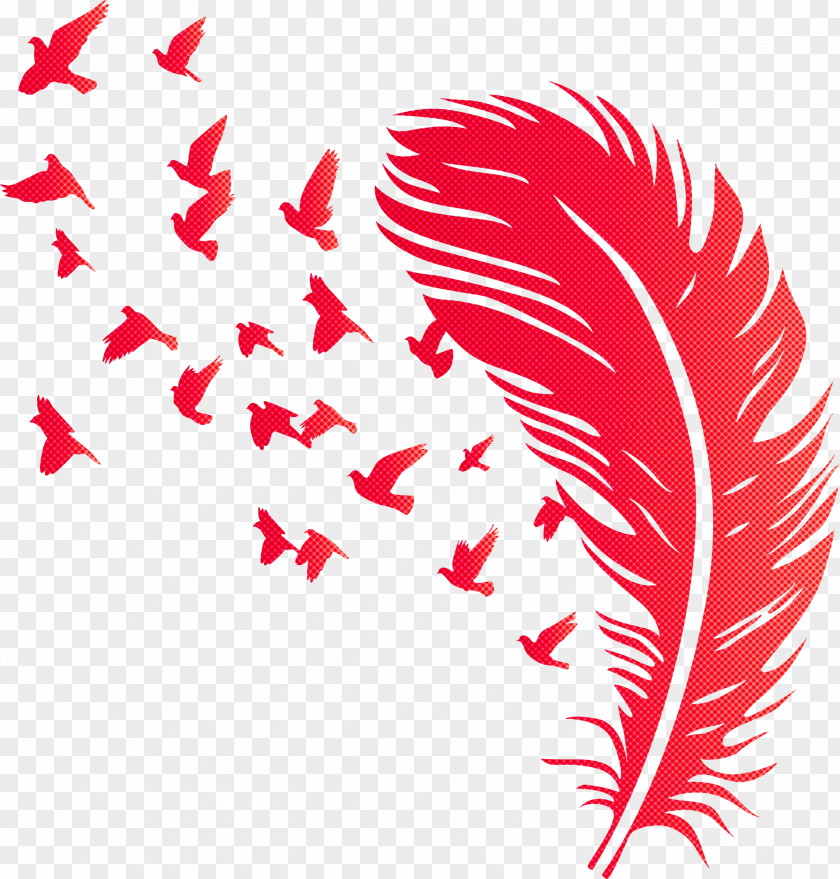 Bird Feather PNG