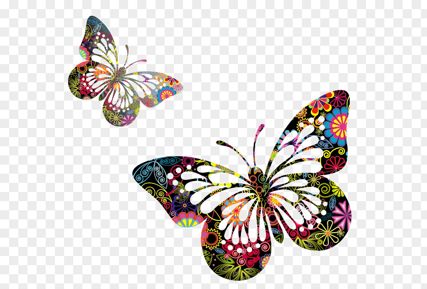 Butterfly Clip Art PNG