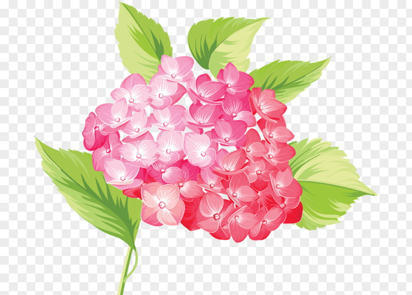 Flower Clip Art PNG