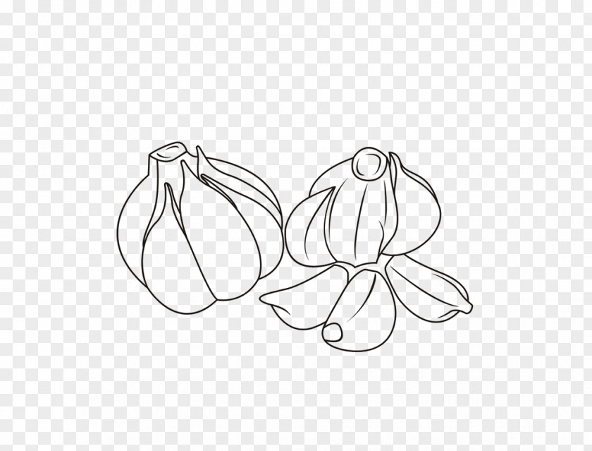 Garlic Vegetable Ramsons PNG