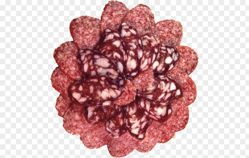 Ham Brand Chinese Sausage Salami Soppressata PNG