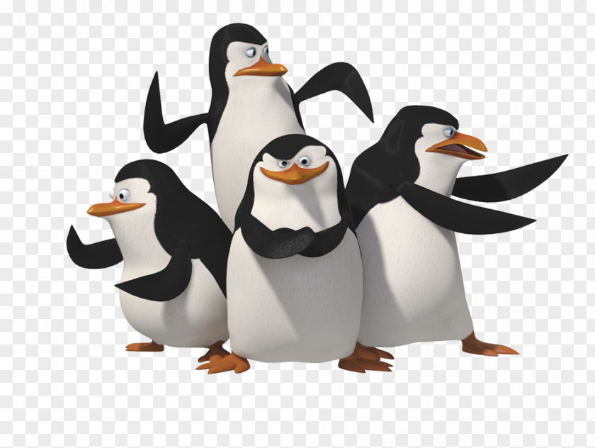 Madagascar Penguins Skipper Penguin PNG