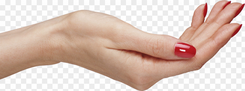 Palm Hands Hand Image Arm PNG