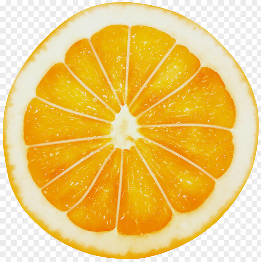 Rangpur Valencia Orange PNG