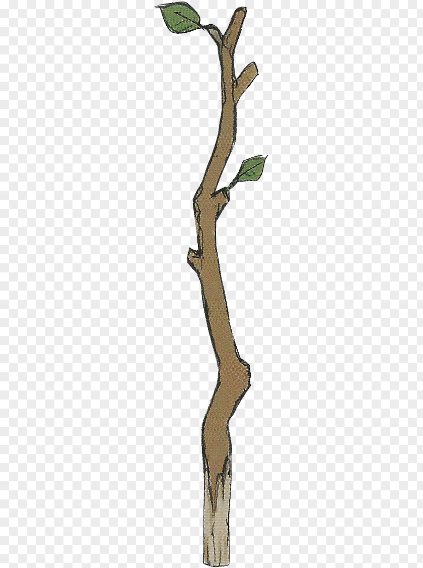 Twig Branch Clip Art Tree Wood PNG