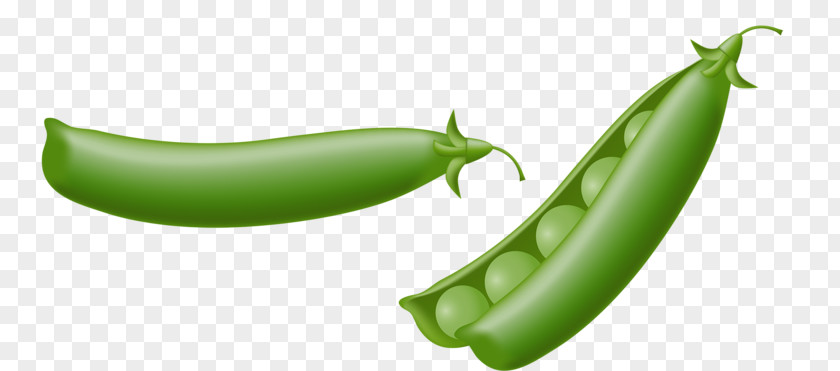 Vegetable Peas Pea Drawing Illustration PNG