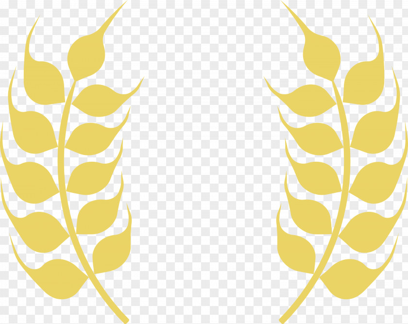 Wheat Ears PNG