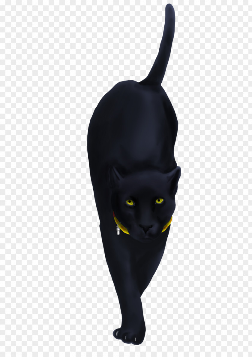Black Panther Tattoo Ink Cat PNG