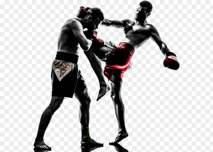 Boxing Muay Thai Mixed Martial Arts Kickboxing PNG