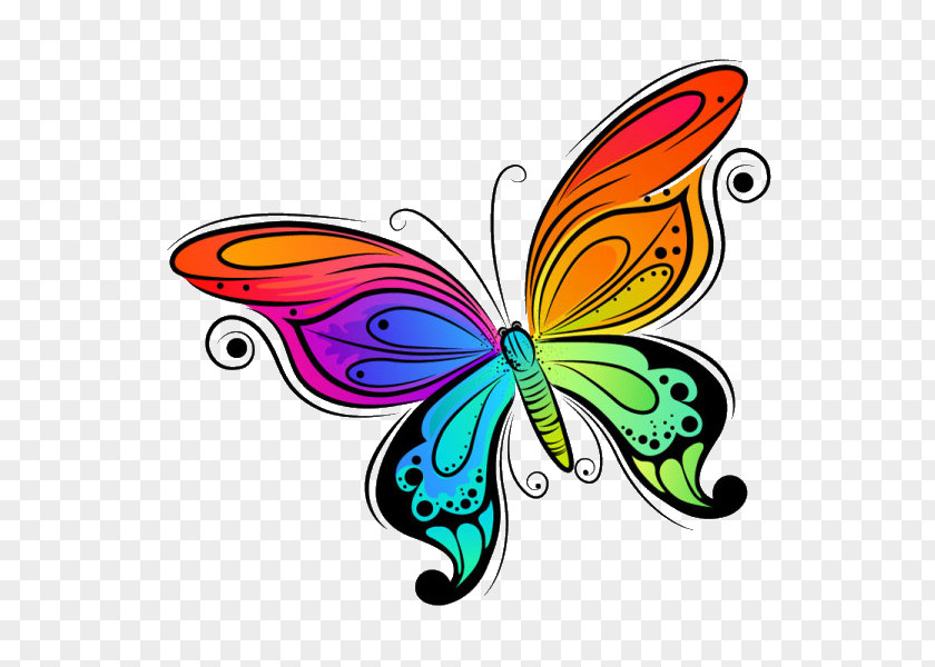 Butterfly Clip Art Vector Graphics Drawing Image PNG